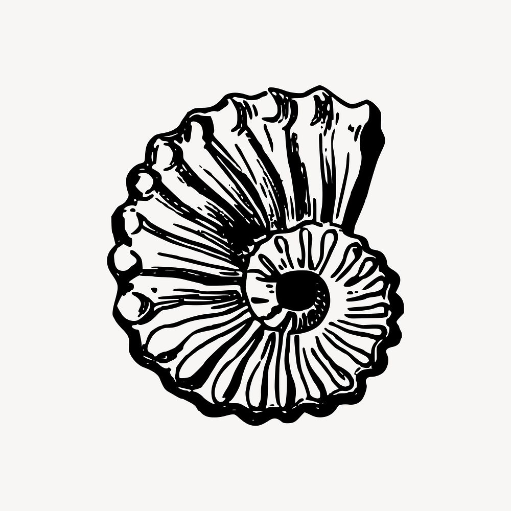 Seashell clipart, beach object illustration vector. Free public domain CC0 image.