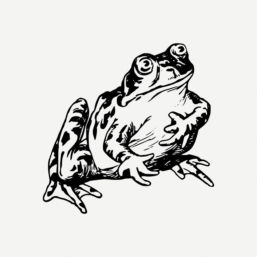 Frog collage element, amphibian animal illustration psd. Free public domain CC0 image.