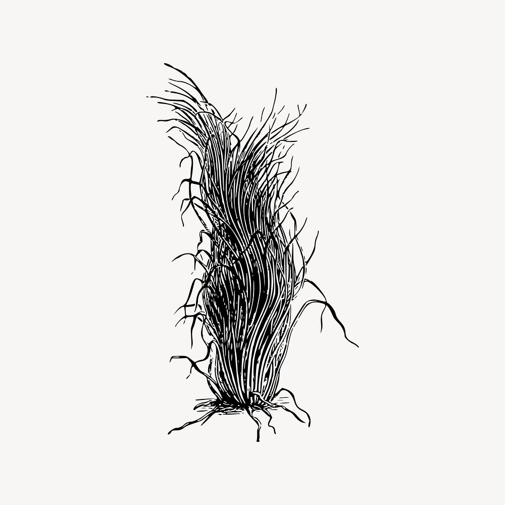 Plant clipart, black and white illustration vector. Free public domain CC0 image.