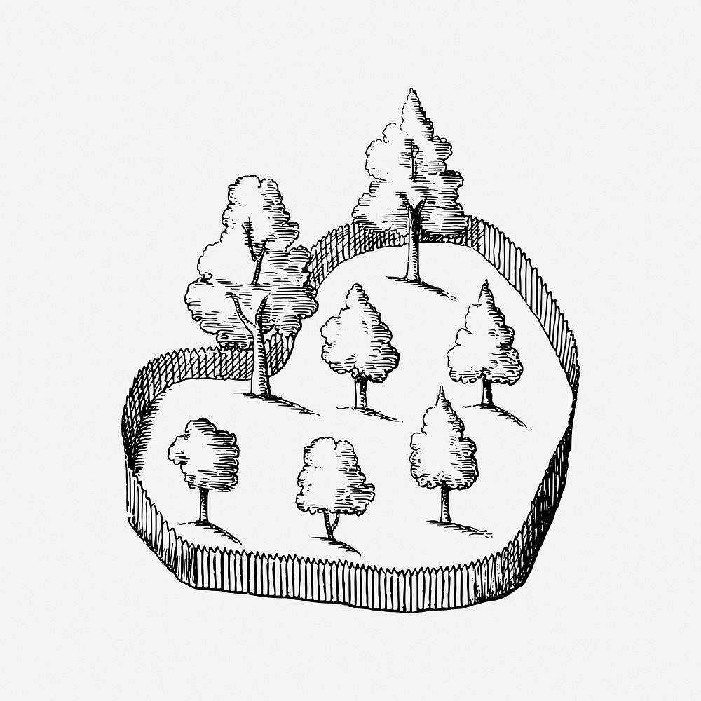 Trees, nature illustration. Free public domain CC0 image.