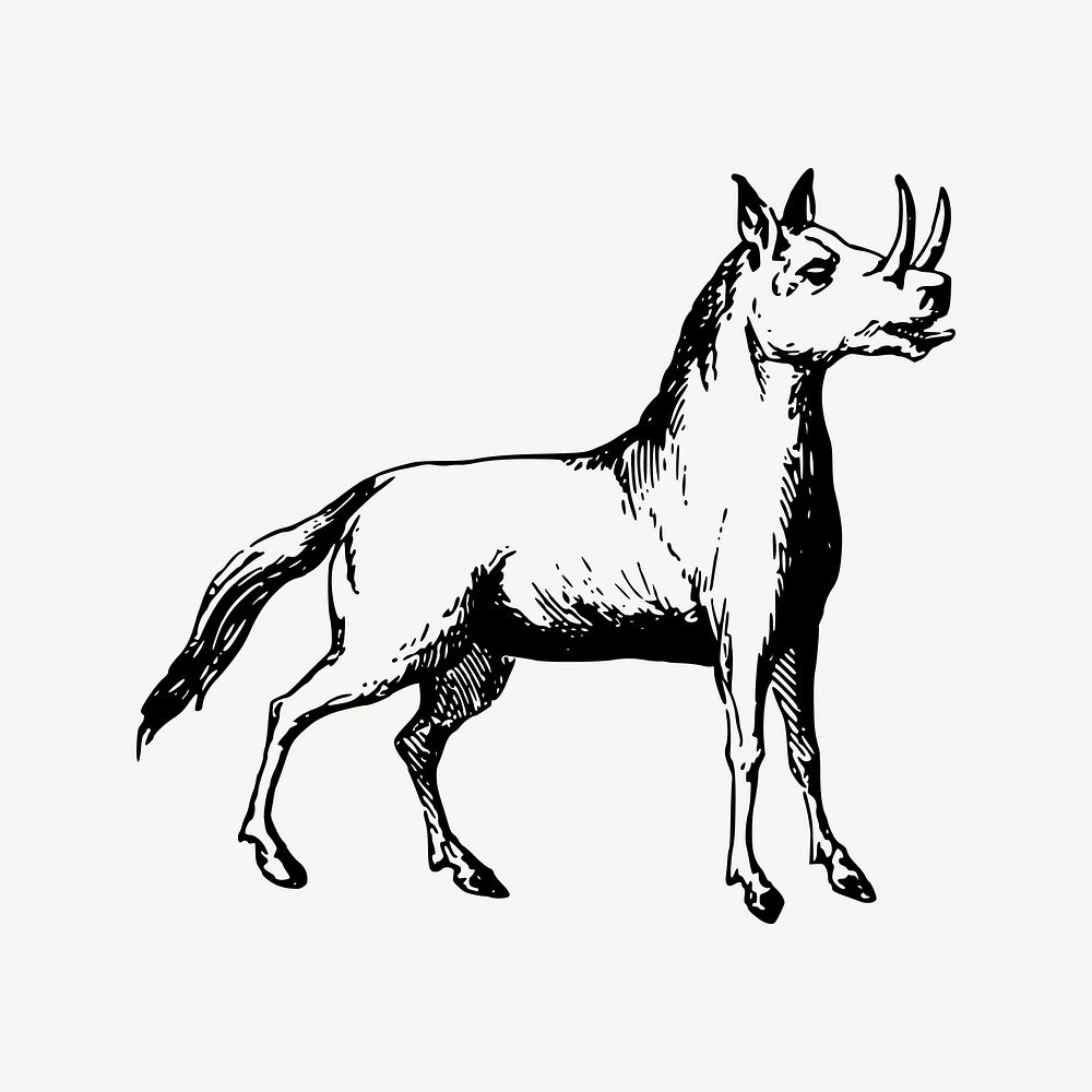 Rhinoceros horse clipart, mythical creature illustration vector. Free public domain CC0 image.