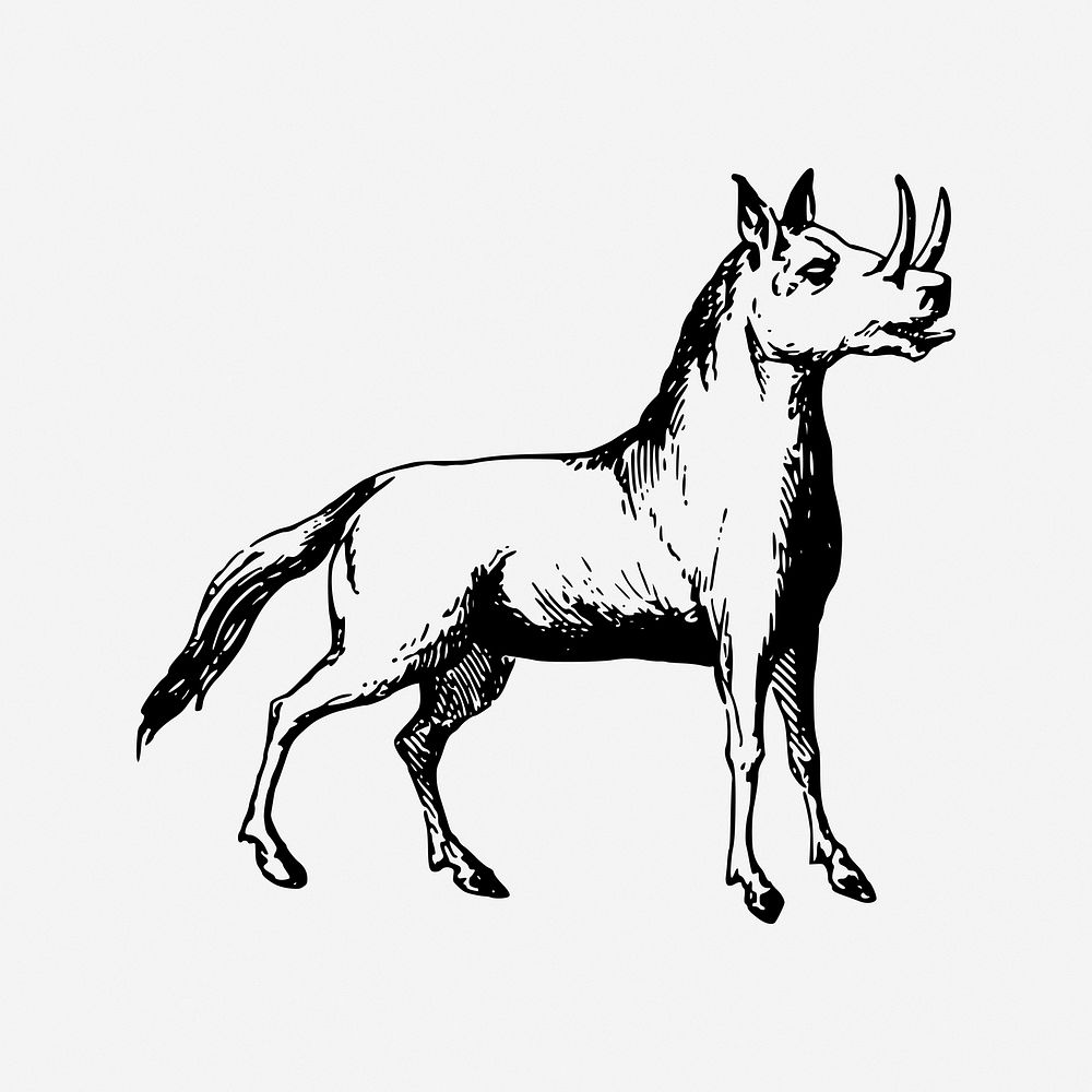 Rhinoceros horse, mythical creature illustration. Free public domain CC0 image.