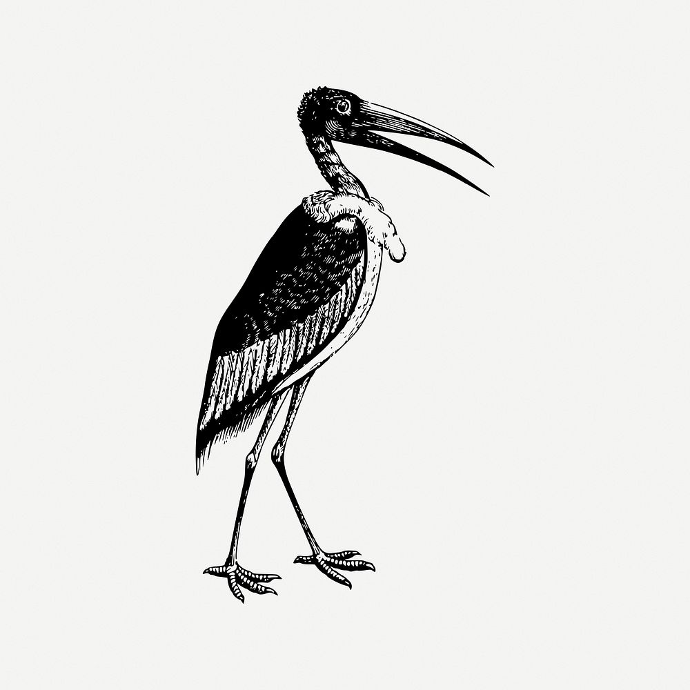Stork collage element, bird illustration psd. Free public domain CC0 image.