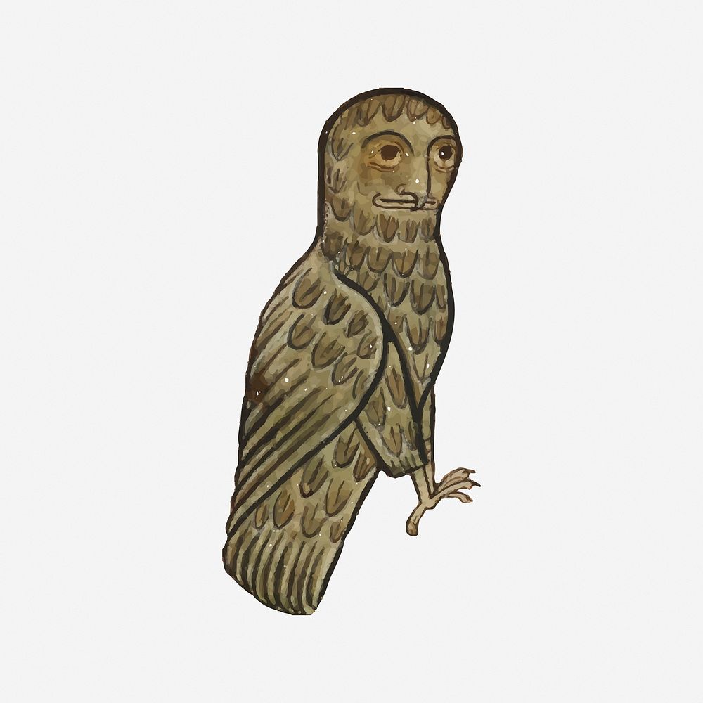 Owl, medieval bird illustration. Free public domain CC0 image.