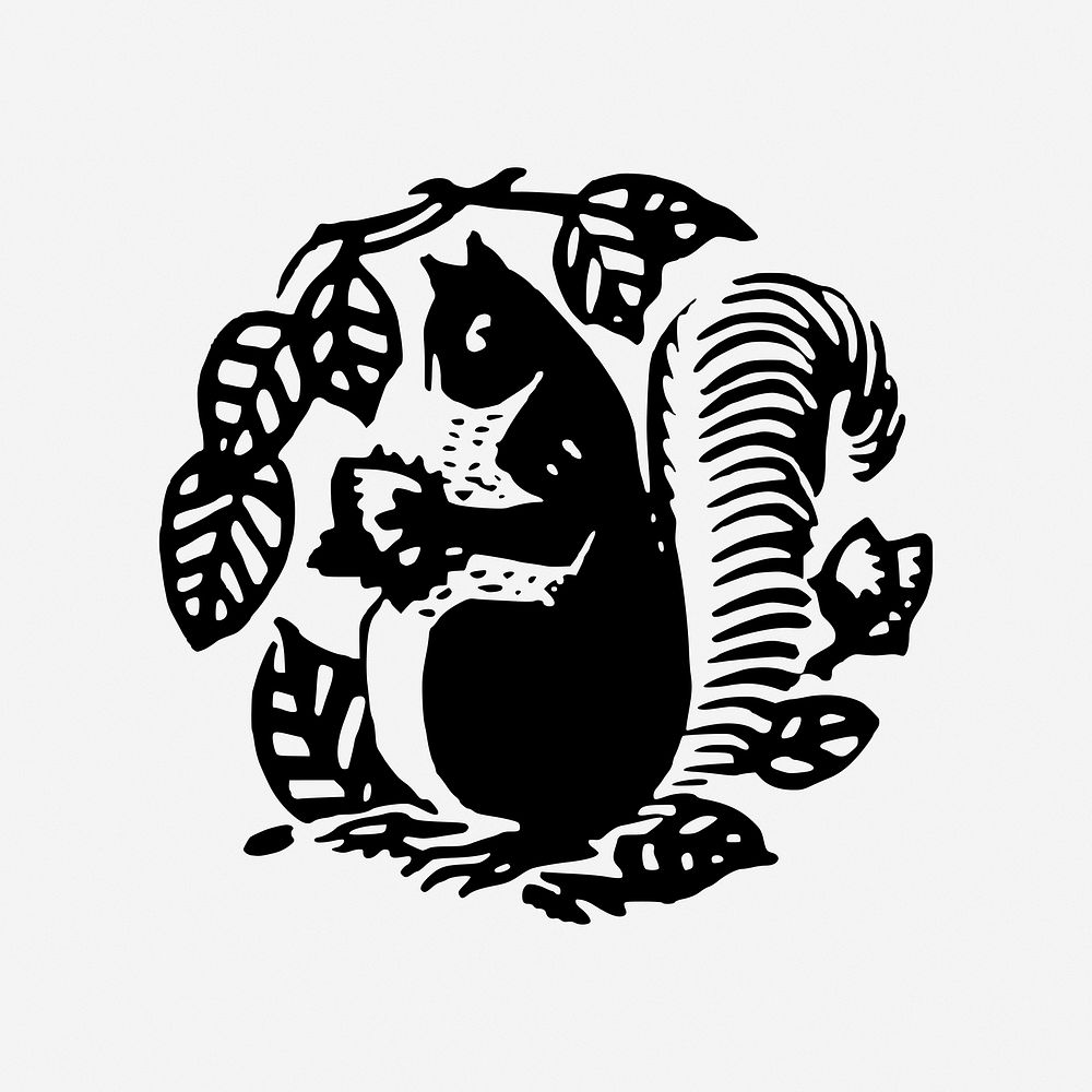 Squirrel badge, animal illustration. Free public domain CC0 image.