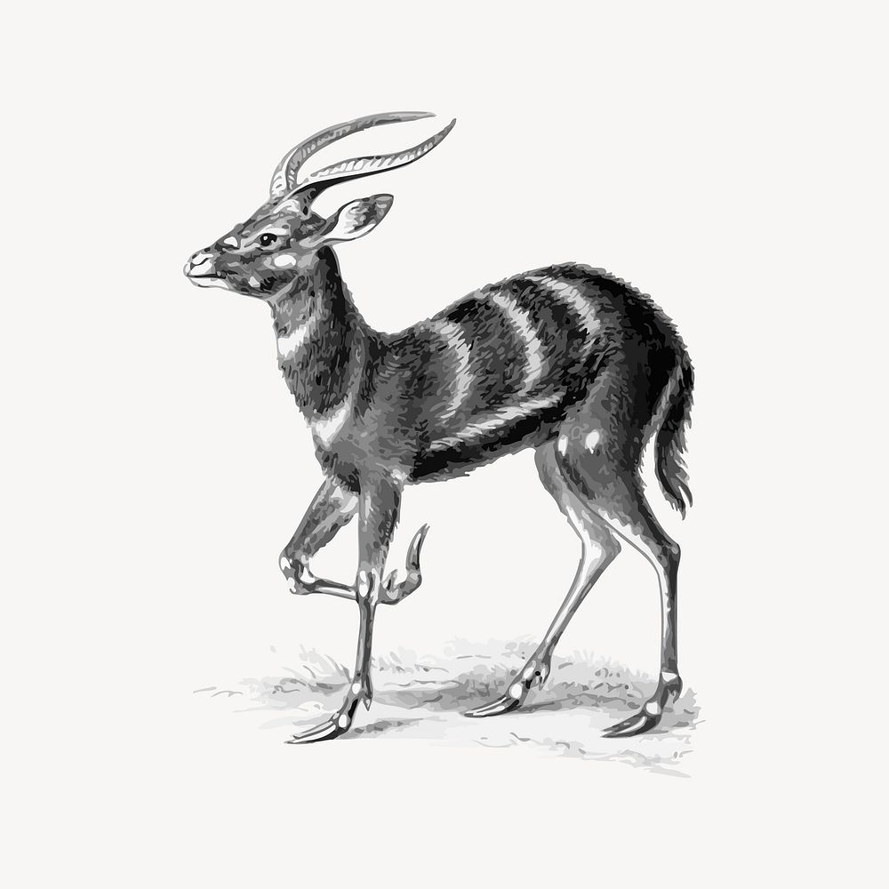 Sitatunga clipart, animal illustration vector. Free public domain CC0 image.