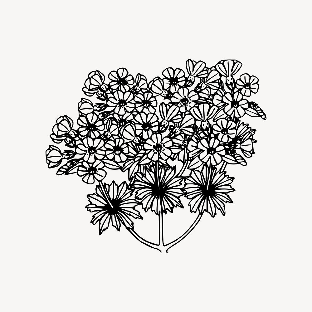 Wildflower drawing, floral illustration vector. Free public domain CC0 image.