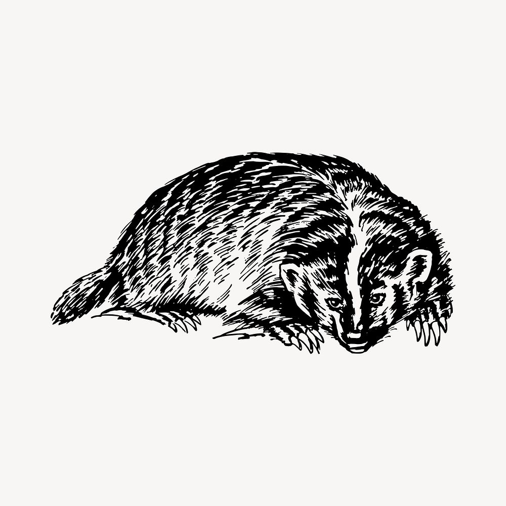 Badger illustration clipart vector. Free public domain CC0 image