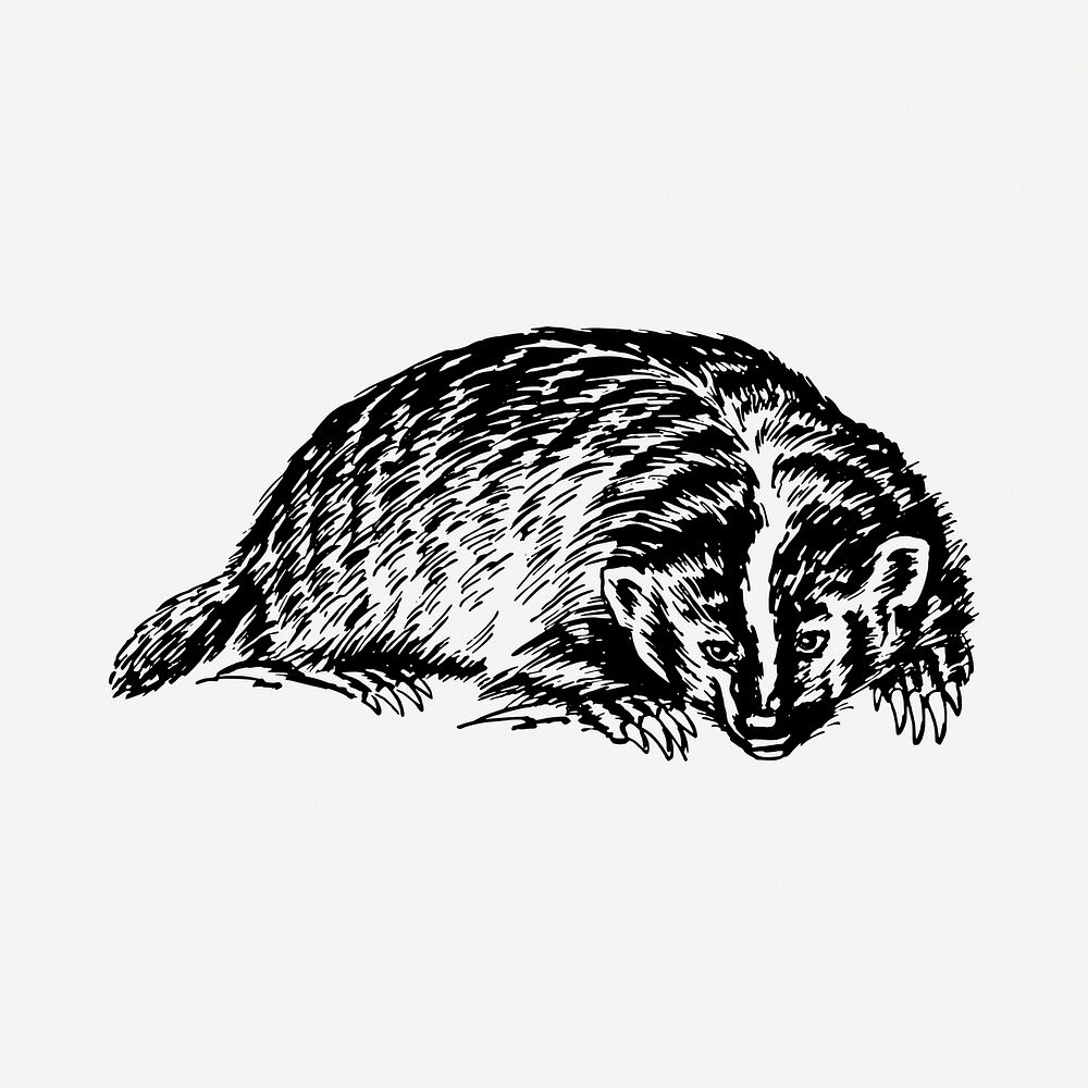 Badger clipart illustration psd. Free public domain CC0 image