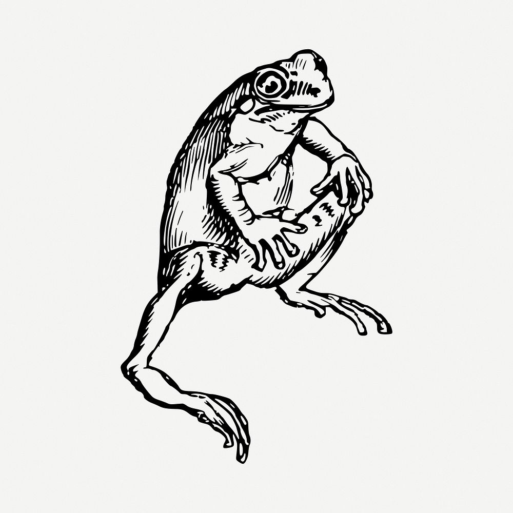 Frog clipart illustration psd. Free public domain CC0 image