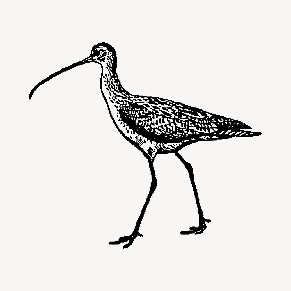 Candlestick bird illustration clipart vector. Free public domain CC0 image