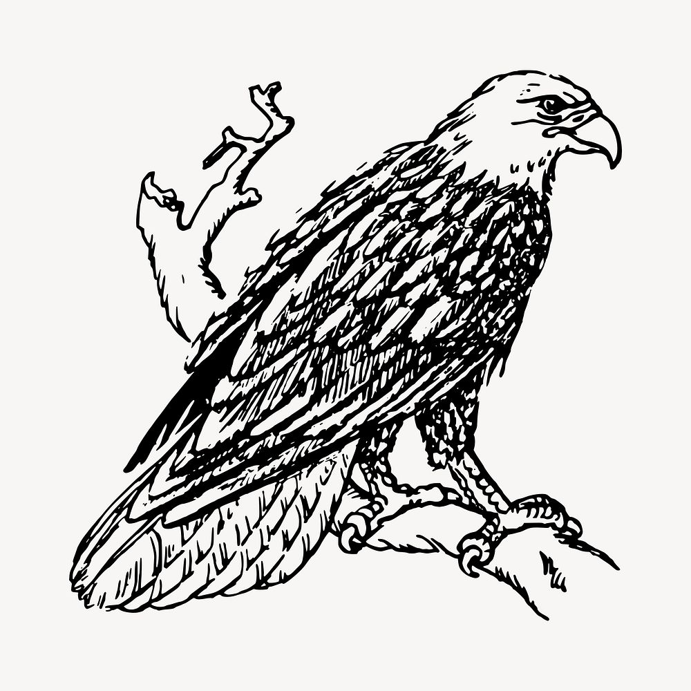 Eagle bird illustration clipart vector. Free public domain CC0 image