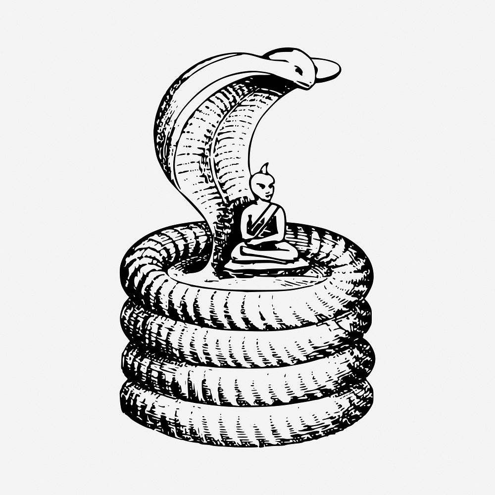 Cobra sage black and white illustration clipart. Free public domain CC0 image