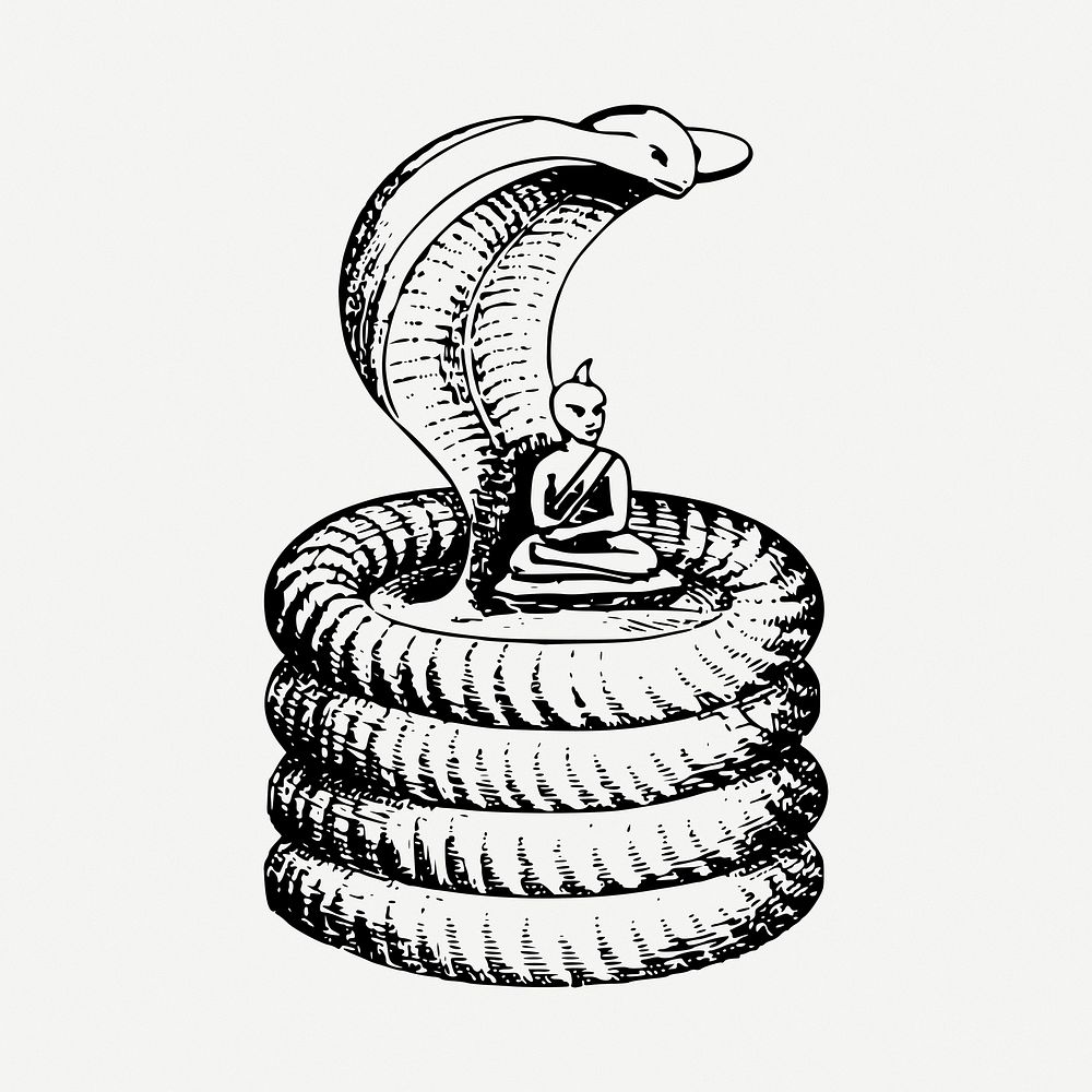 Cobra sage clipart illustration psd. Free public domain CC0 image