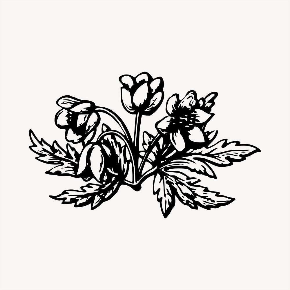 Flower clipart, vintage hand drawn vector. Free public domain CC0 image.