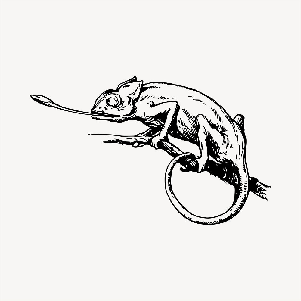 Chameleon clipart, vintage hand drawn vector. Free public domain CC0 image.
