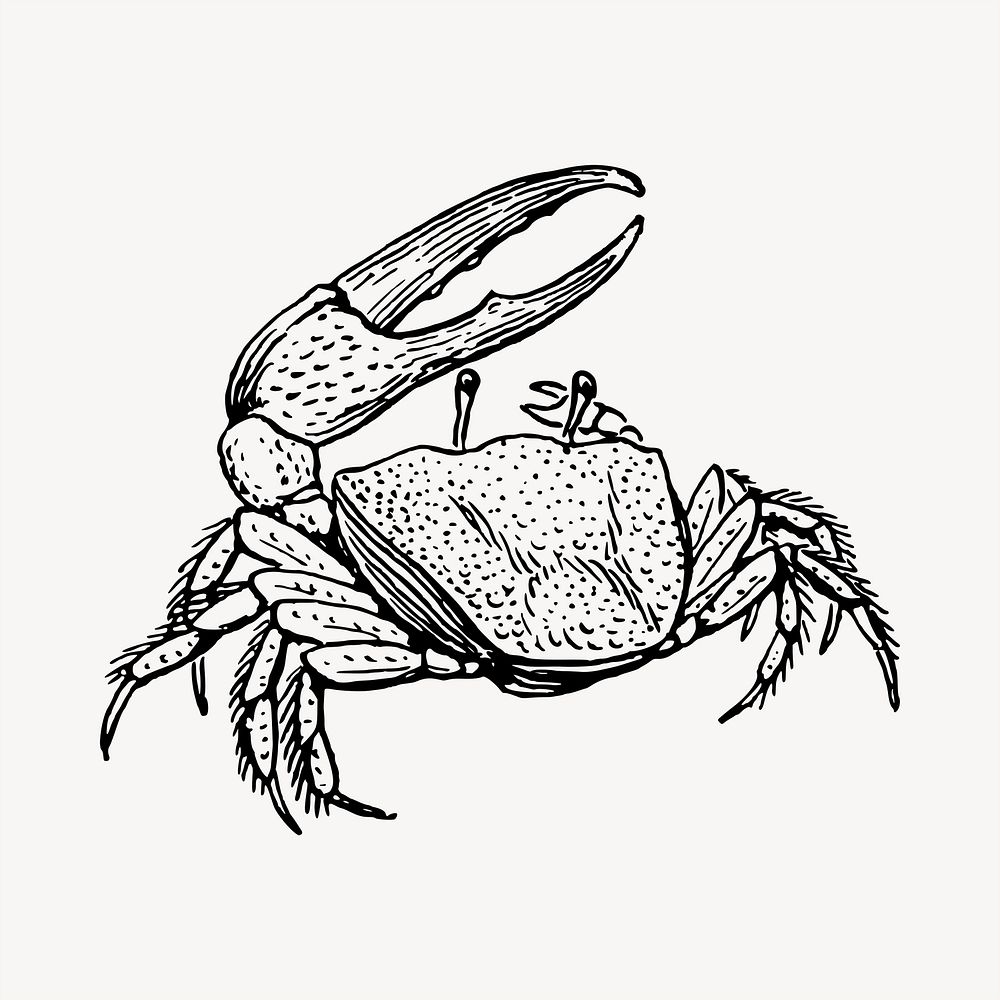 Crab clipart, vintage hand drawn vector. Free public domain CC0 image.