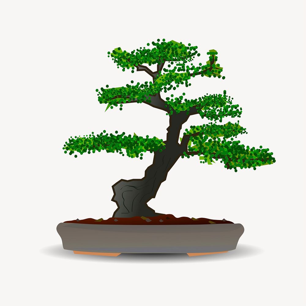 Bonsai tree clipart, botanical illustration. Free public domain CC0 image.