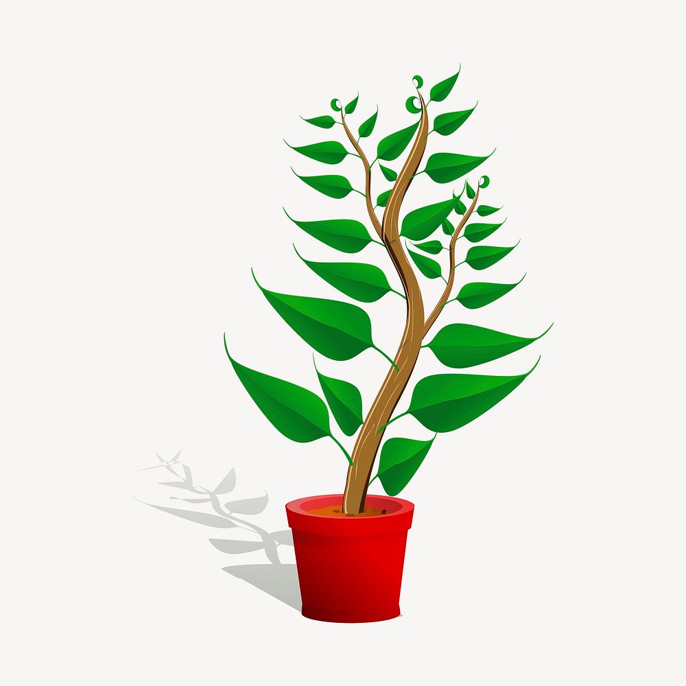 Potted plant clipart, botanical illustration. Free public domain CC0 image.