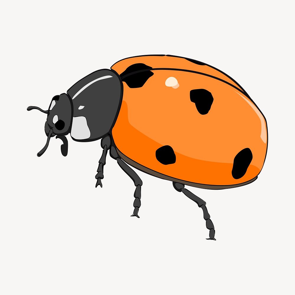 Ladybug clipart, insect illustration vector. Free public domain CC0 image.