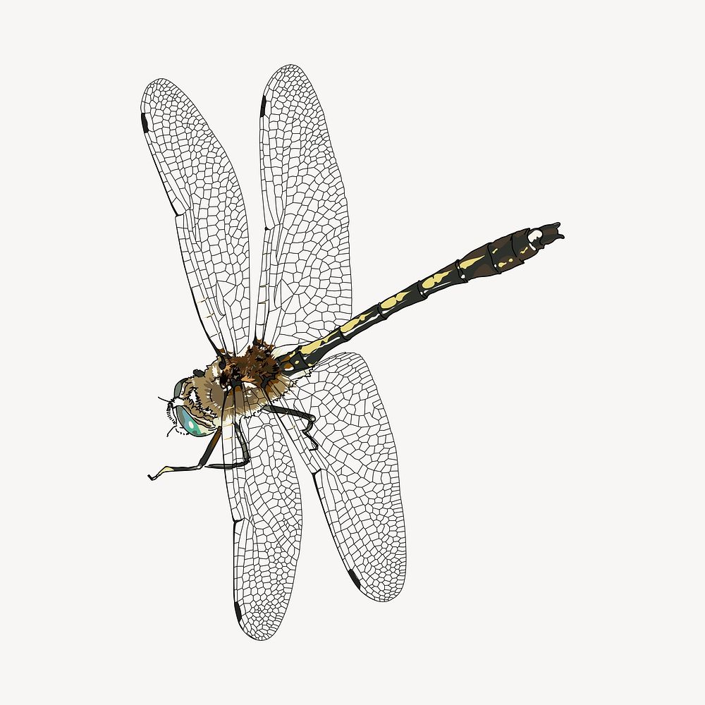 Dragonfly sticker, insect illustration psd. Free public domain CC0 image.