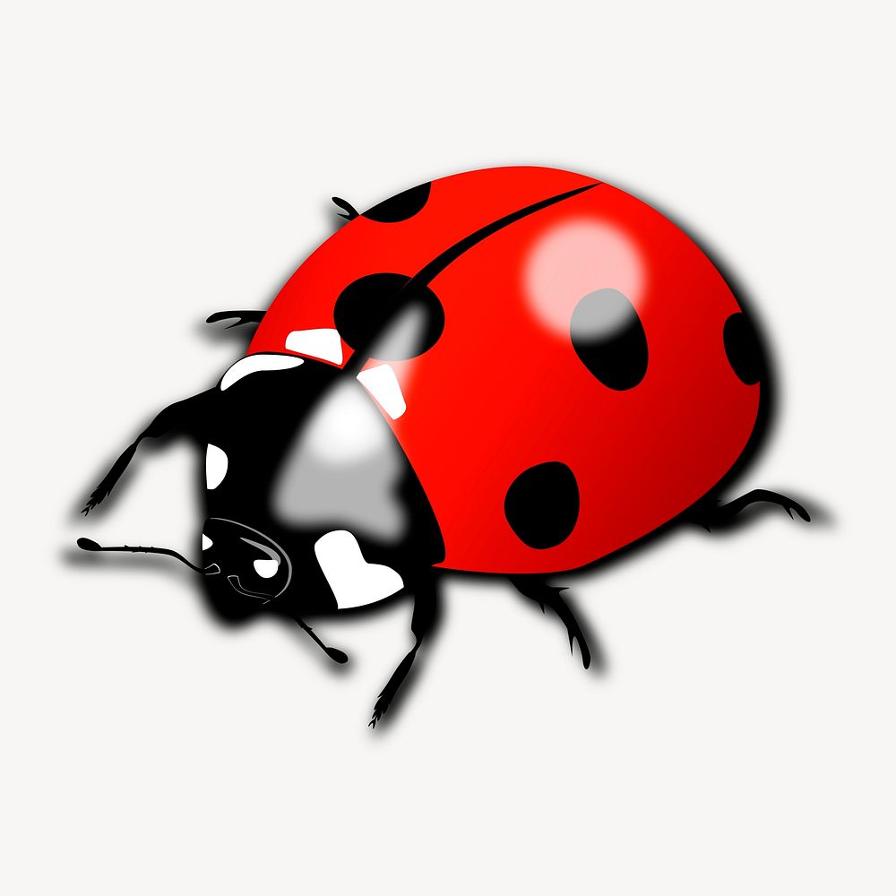 Ladybug clipart, animal illustration psd. Free public domain CC0 image