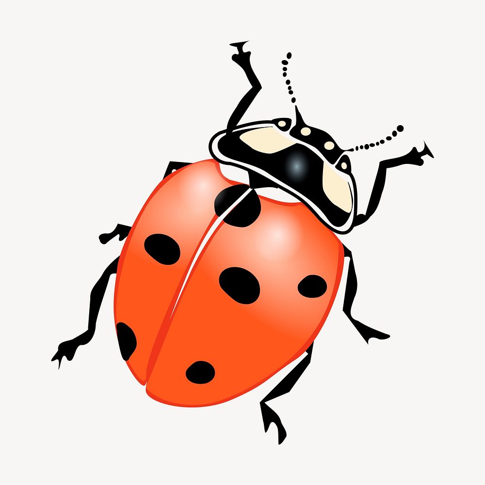 Ladybug clipart, animal illustration vector. Free public domain CC0 image