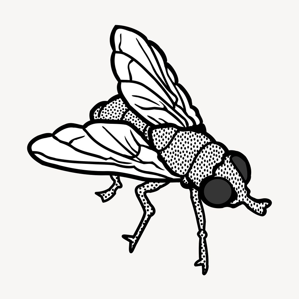 Fly clipart, animal illustration vector. Free public domain CC0 image