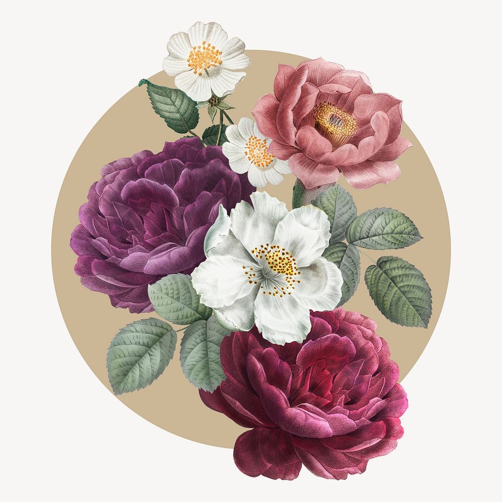 French rose circle shape badge, vintage flower illustration