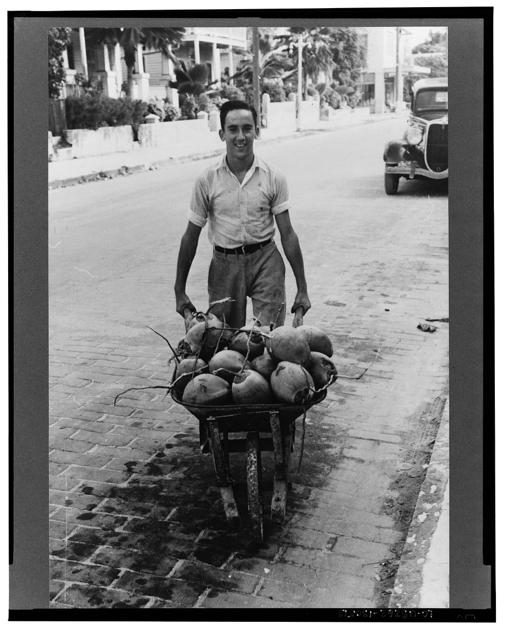 Coconuts, Key West, Florida. Sourced from the Library of Congress.