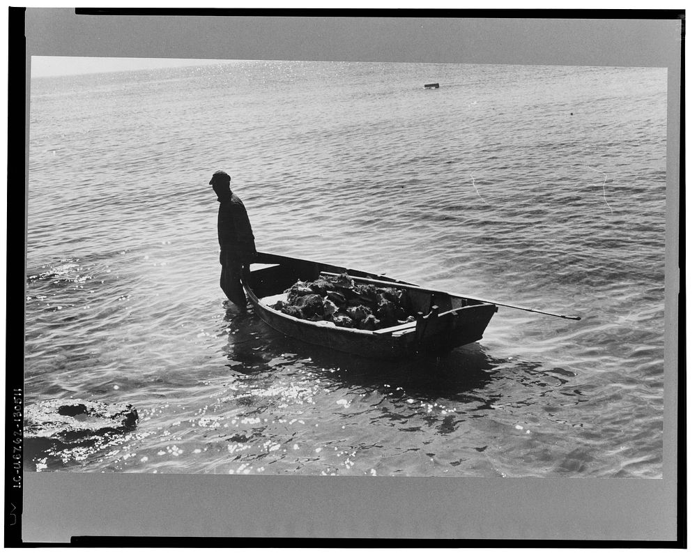 Fishermen, Key West, Florida. Sourced from the Library of Congress.