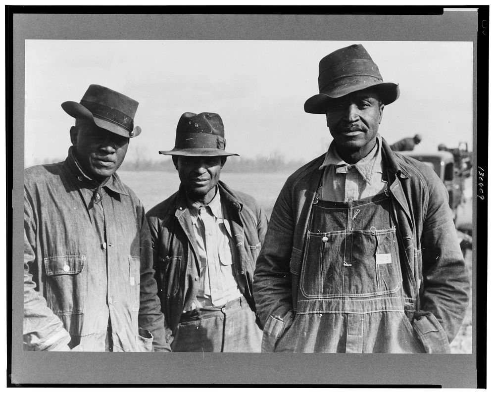 Evicted sharecroppers along Highway 60, New Madrid County, Missouri. Sourced from the Library of Congress.