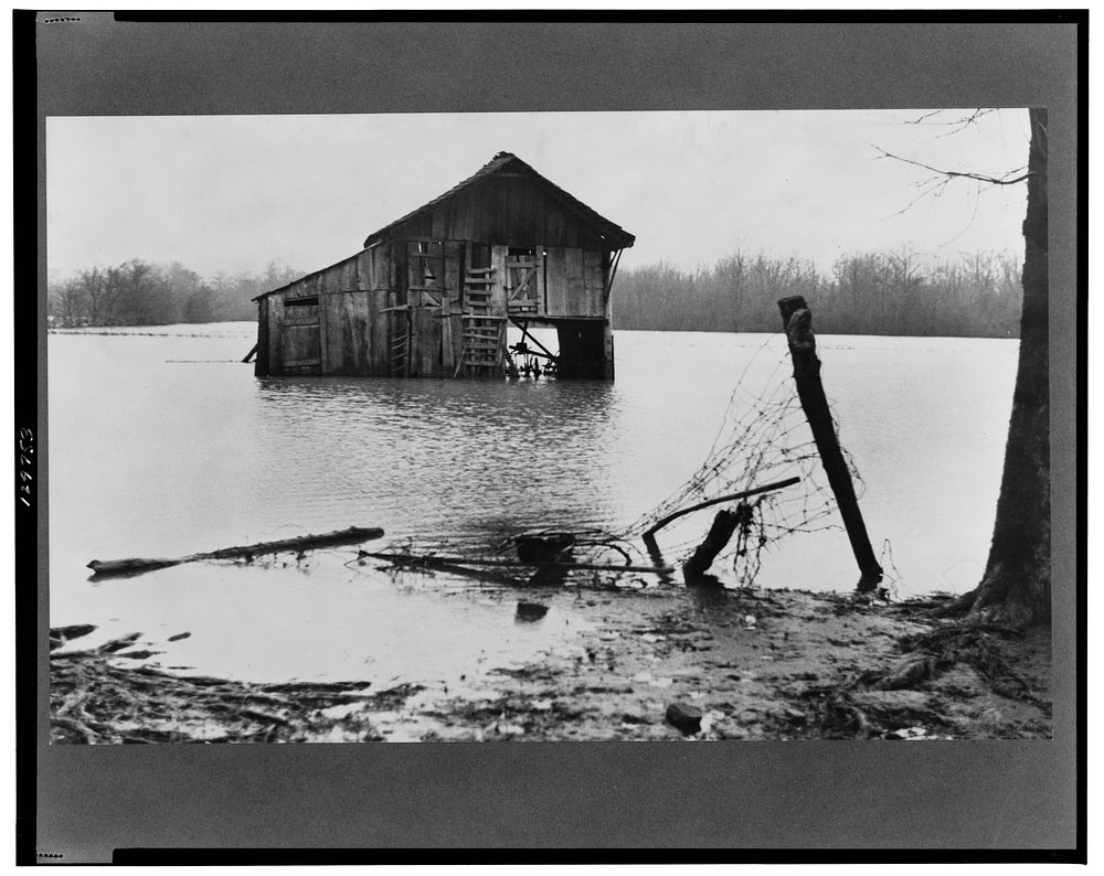 Farmyard covered with flood waters near Ridgeley, Tennessee. Sourced from the Library of Congress.