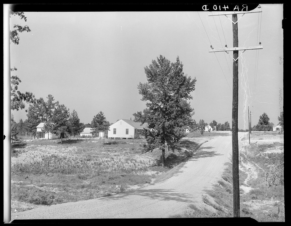 View of McComb Homesteads. Pike County, Mississippi. Sourced from the Library of Congress.