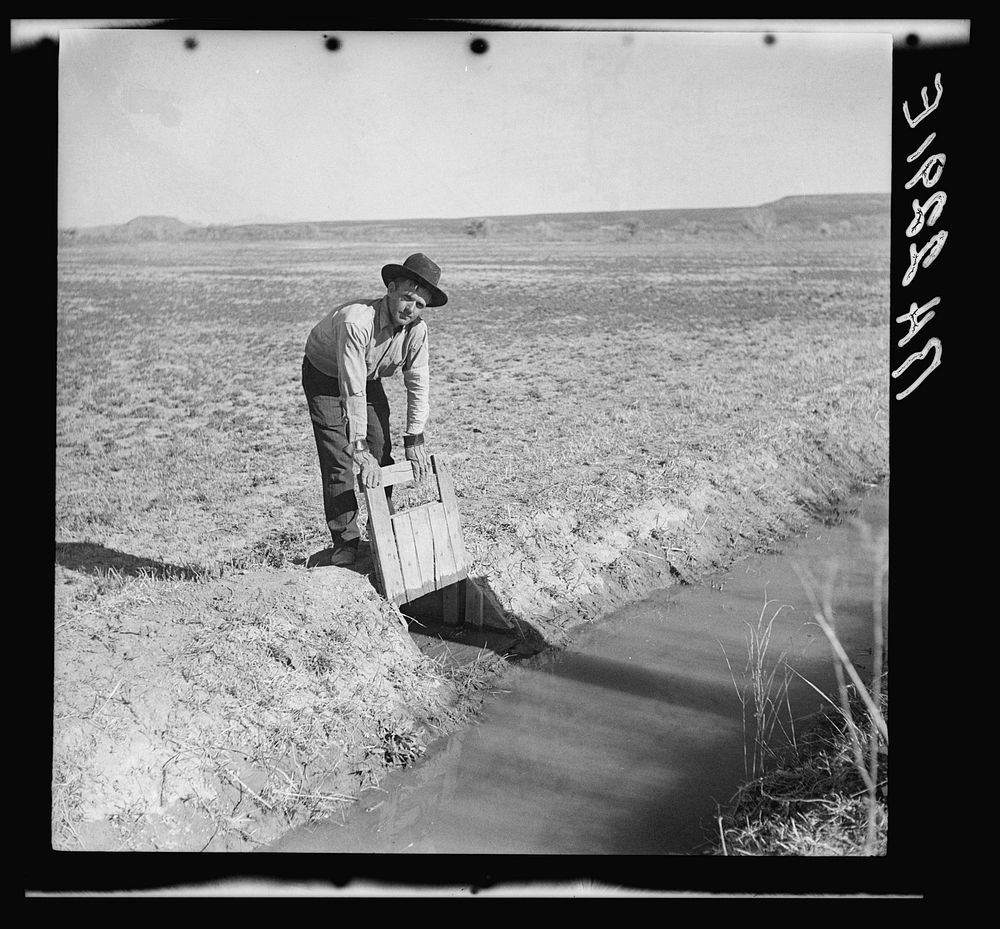 Opening the gate that allows water to flow into the field from irrigation ditch. New Mexico. Sourced from the Library of…