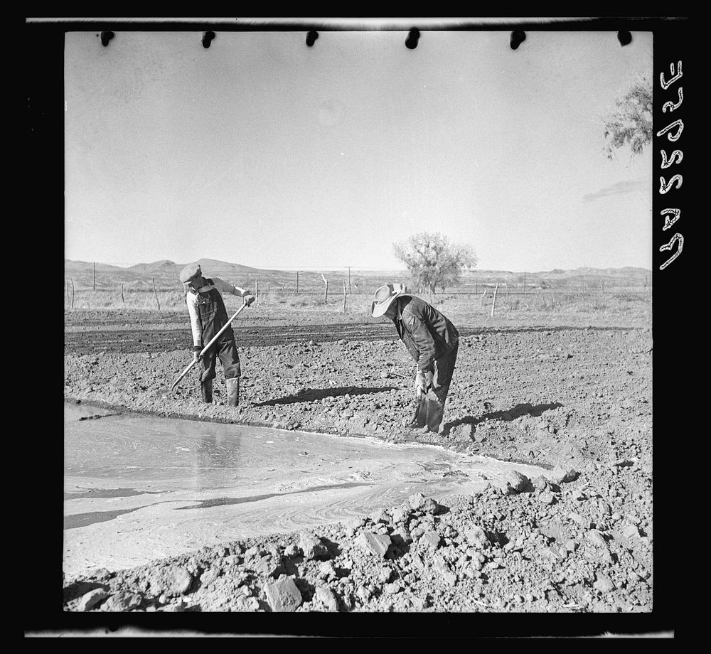 Irrigating a field. Dona Ana County, New Mexico. Sourced from the Library of Congress.