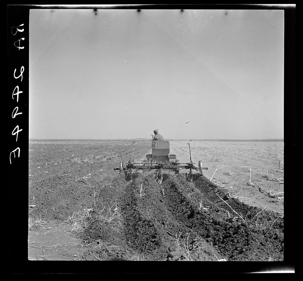 A farmer listing his fields under the wind erosion control program. He receives twenty cents an acre for the work. Liberal…
