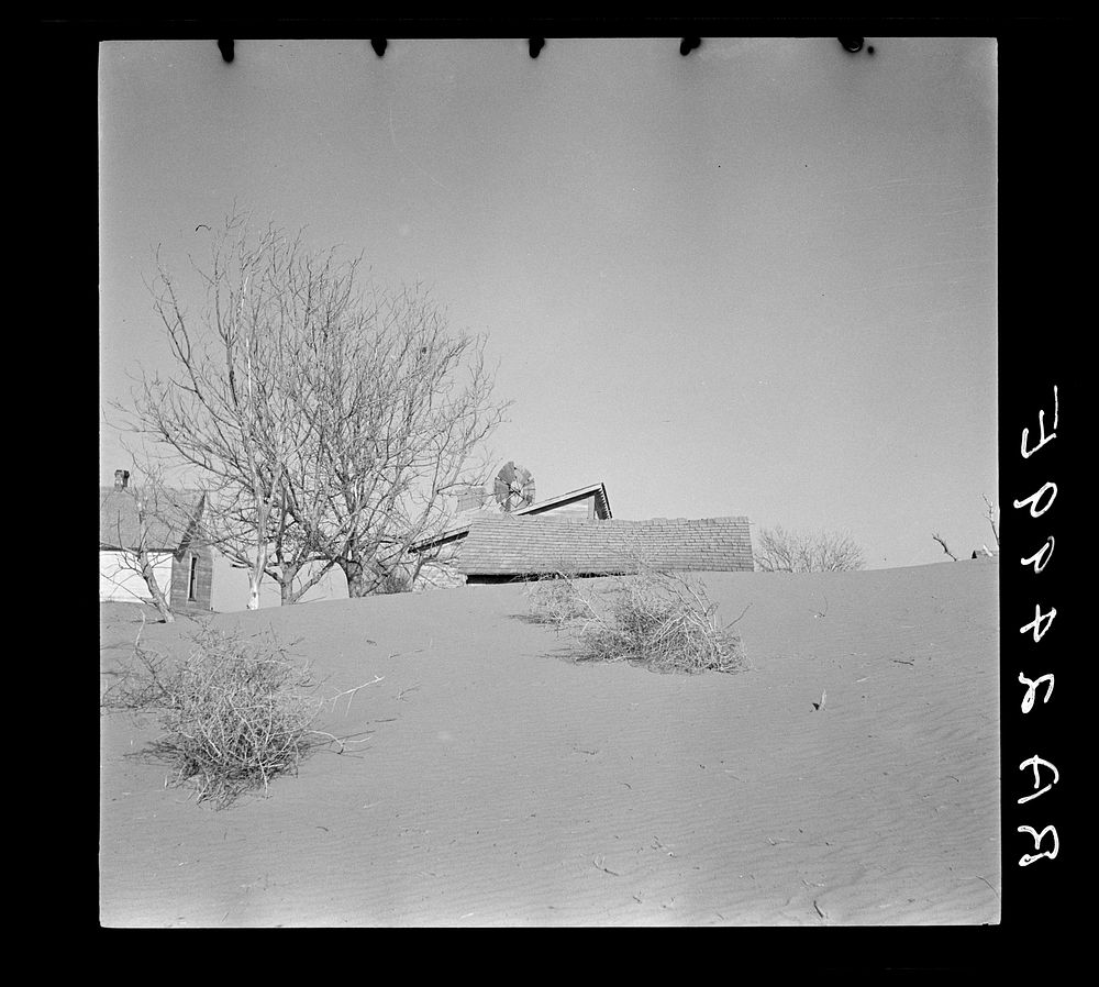Large drifts of good Kansas top soil threaten to cover up this farmer's home. Kansas. Sourced from the Library of Congress.