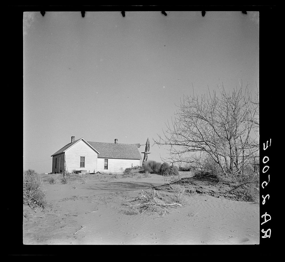 Shifting drifts of dust will soon force this farmer to abandon his home near Liberal, Kansas. Sourced from the Library of…