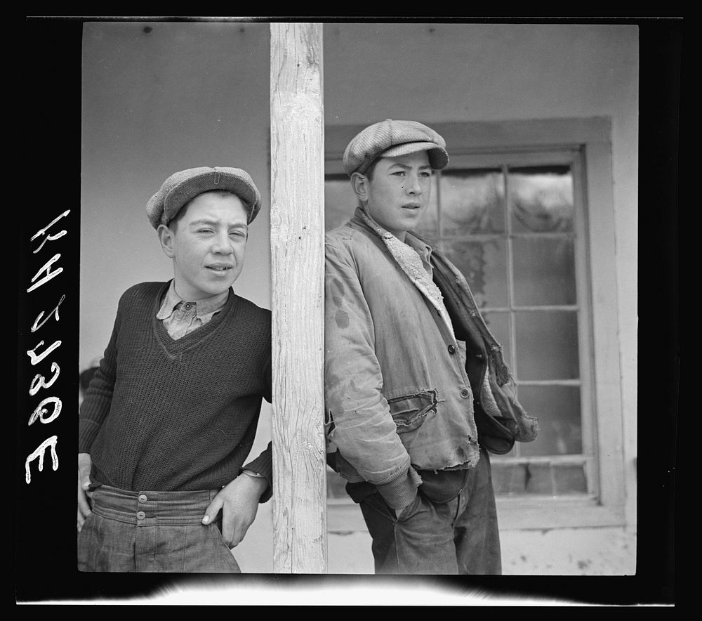 Sons of a rehabilitation client. Arroyo Seco, New Mexico. Sourced from the Library of Congress.