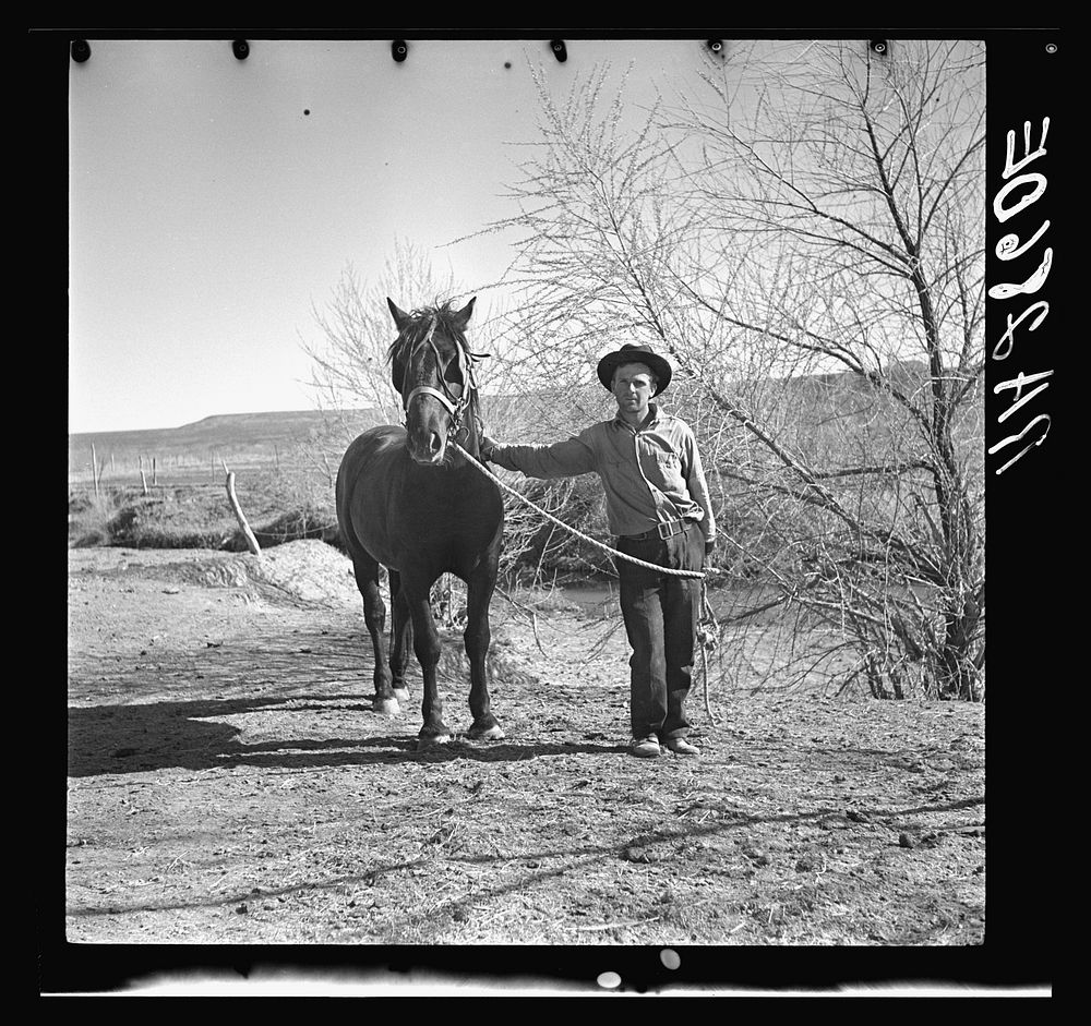 Rehabilitation client and stallion obtained through rehabilitation loan. Dona Ana County, New Mexico. Sourced from the…