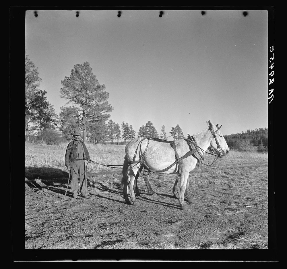 Indian on the Mescalero Apache Reservation, New Mexico. Sourced from the Library of Congress.