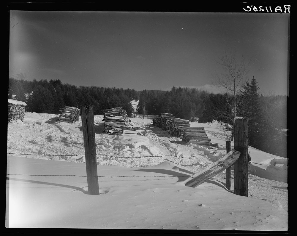 Pulpwood cut by Forest Products Association, Inc. Coos County, New Hampshire. Sourced from the Library of Congress.