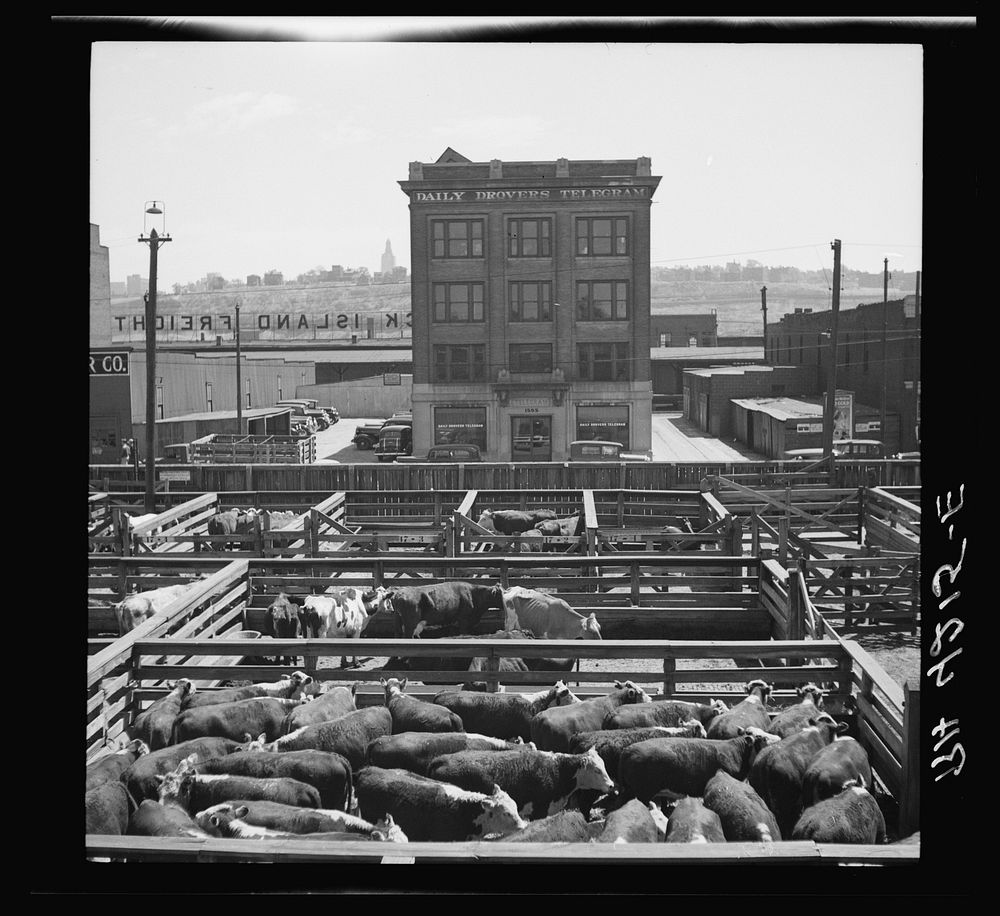 Stockyards. Kansas City, Kansas. Sourced from the Library of Congress.