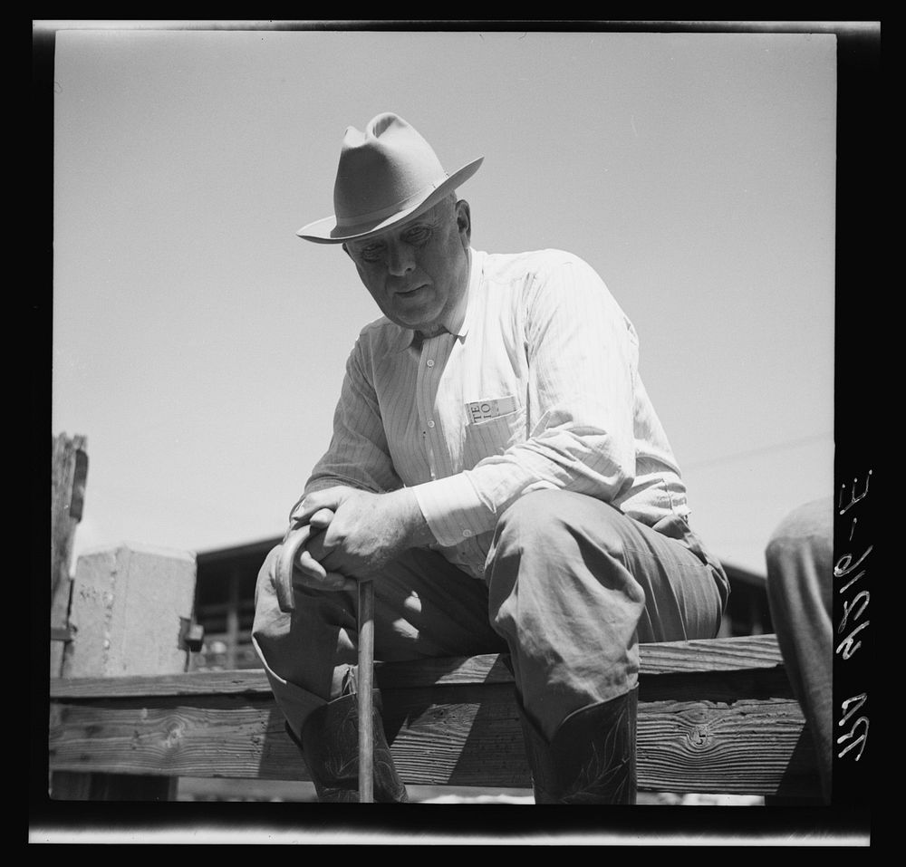 Cattle merchant in stockyards. Kansas City, Kansas. Sourced from the Library of Congress.