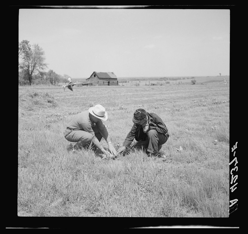 Rehabilitation client and county supervisor discuss planting problems. Cherokee County, Kansas. Sourced from the Library of…