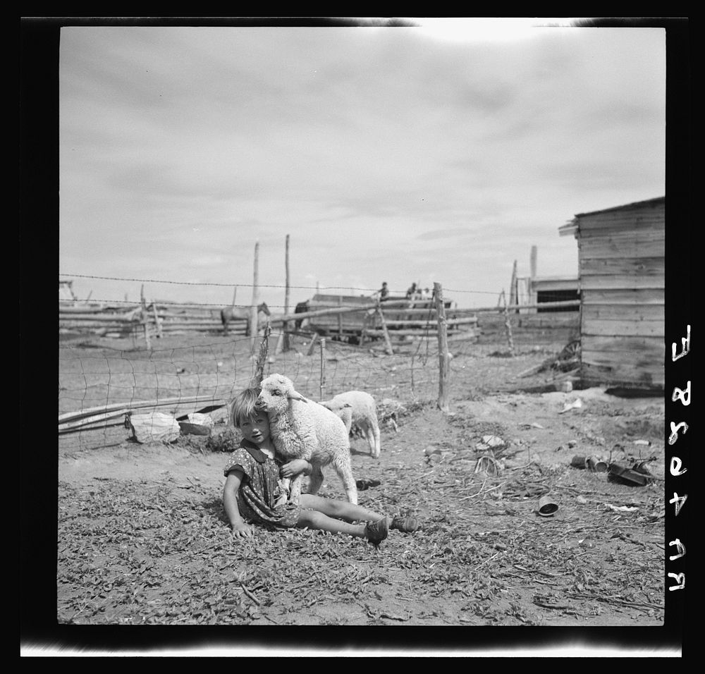 Daughter of sheep rancher. Grazing project. Oneida County, Idaho. Sourced from the Library of Congress.