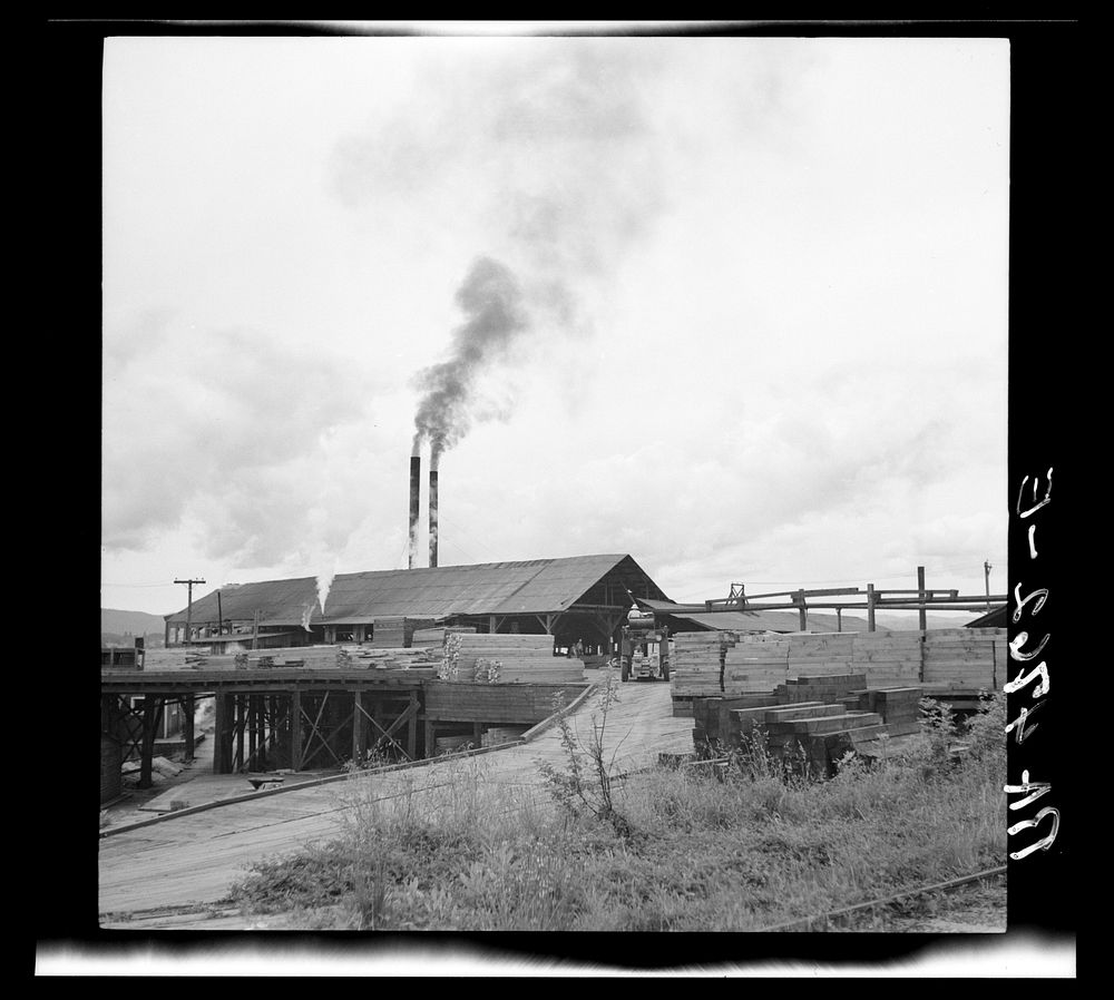 Sawmill near McMinnville, Oregon. Sourced from the Library of Congress.