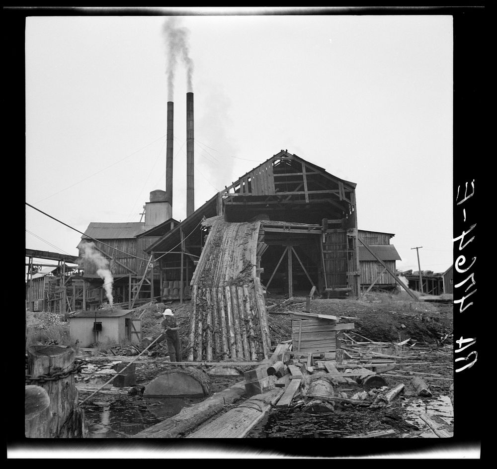 Sawmill. McMinnville, Oregon. Sourced from the Library of Congress.