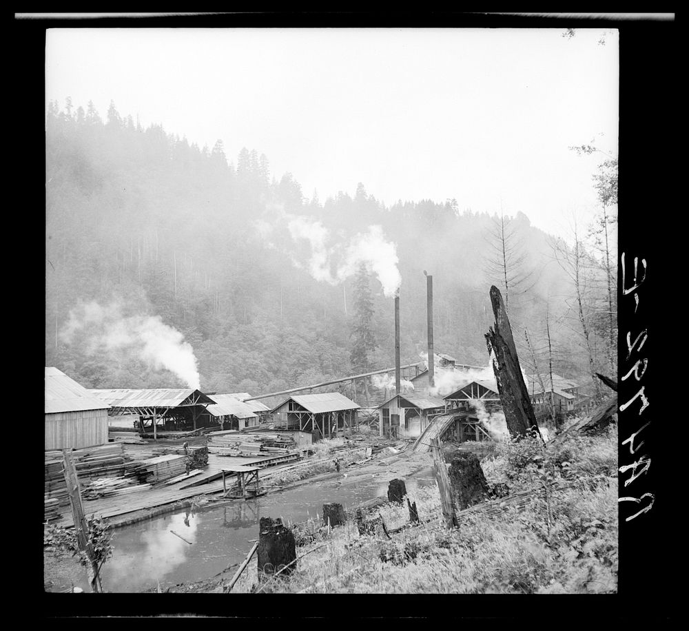 Sawmill near Mapleton, Oregon. Sourced from the Library of Congress.